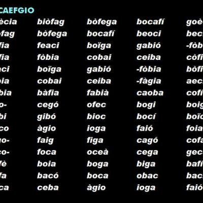 Imagen00008